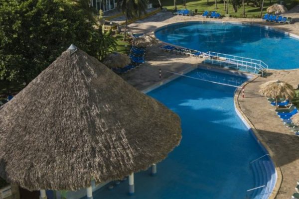 Allegro Palma Real11