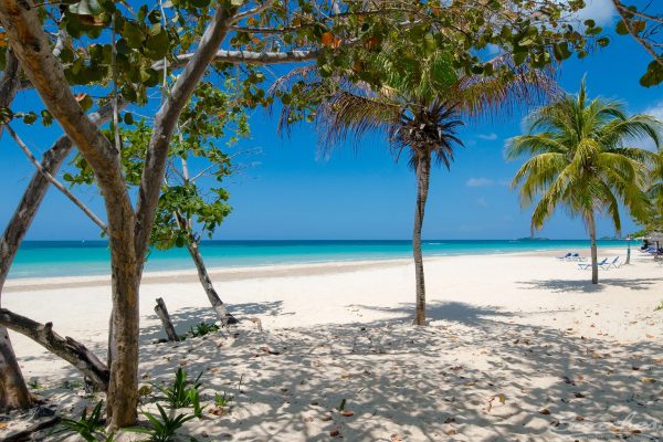 Beaches Negril Resort and Spa (21)