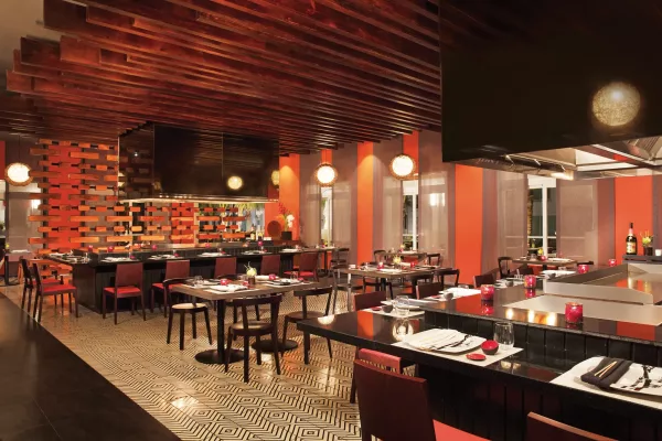 Dreams Dominicus La Romana48