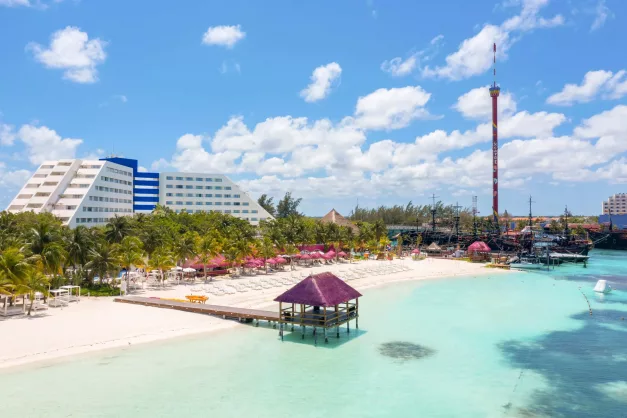 Grand Oasis Palm10