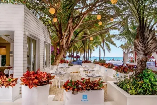 Grand Oasis Palm24
