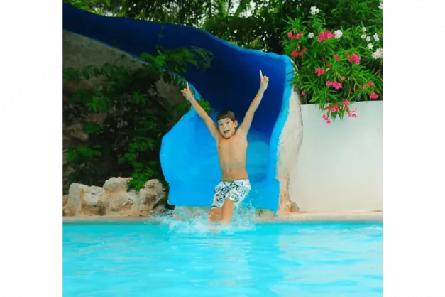 Grand Oasis Palm34