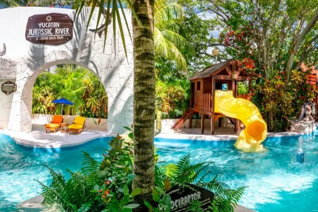 Grand Oasis Palm6