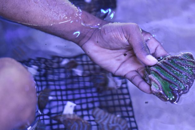 Iberostar Grand Bávaro77