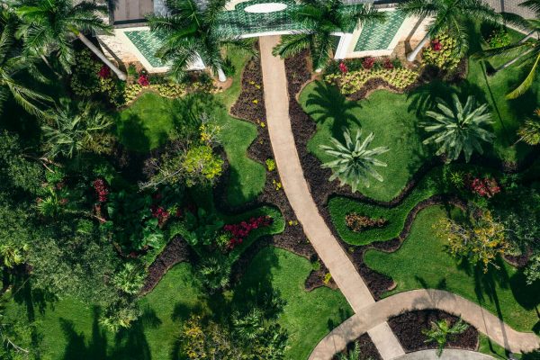 Iberostar Grand Paraiso29