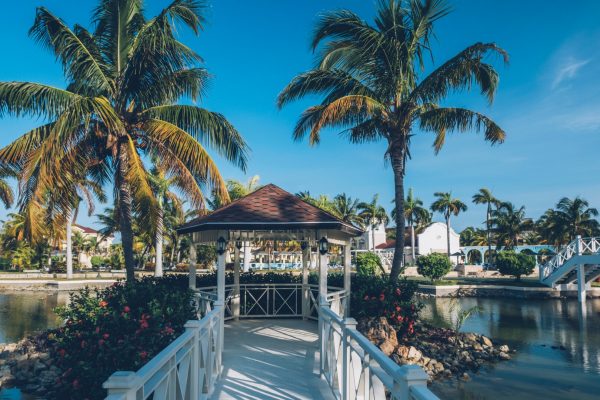 Iberostar Playa Alameda2