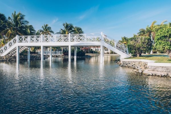 Iberostar Playa Alameda5