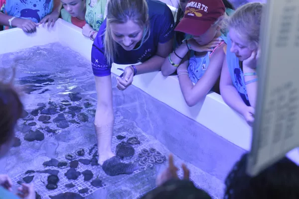 Iberostar Selection Bávaro Suites344