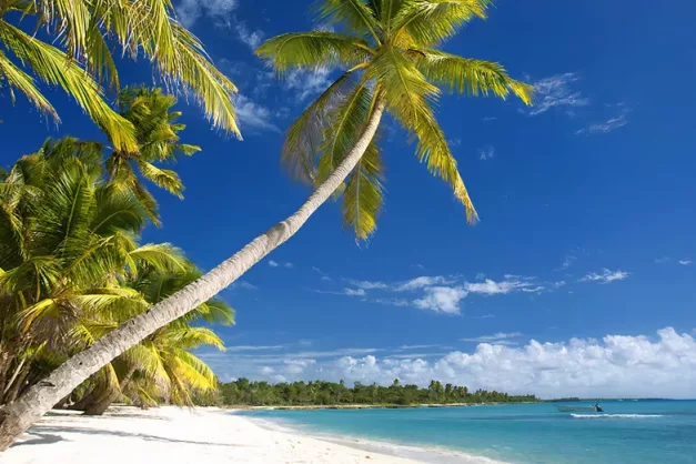 Impressive Punta Cana11