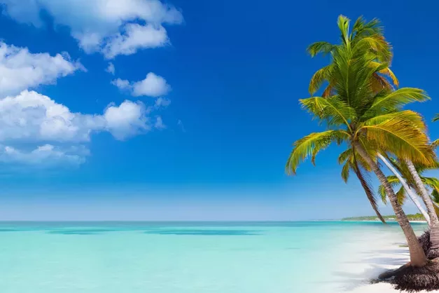 Impressive Punta Cana12