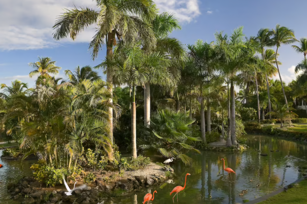 Melia Punta Cana Beach3