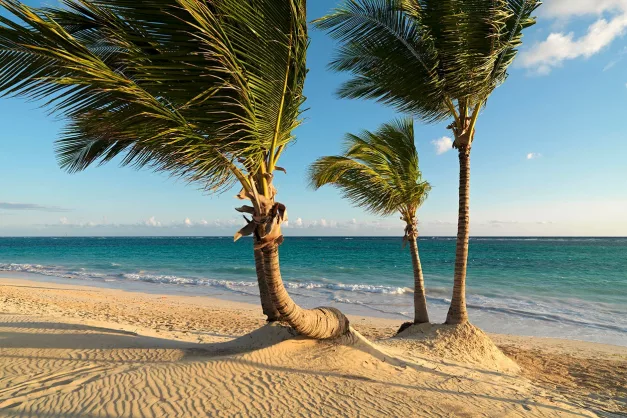 Ocean Blue & Sand13 Ocean Blue & Sand13