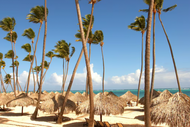 Paradisus Palma Real Golf & Spa Resort4