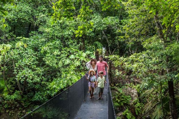Actividades familiares Riviera Maya