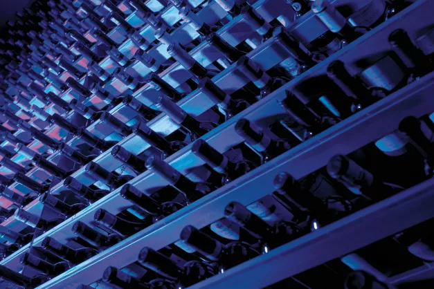 Secrets The Vine Cancun222