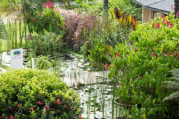 Alisei Beachfront Samana21