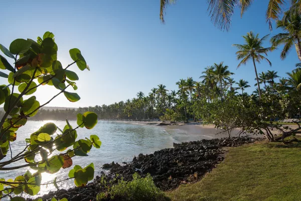 Grand Paradise Samana5