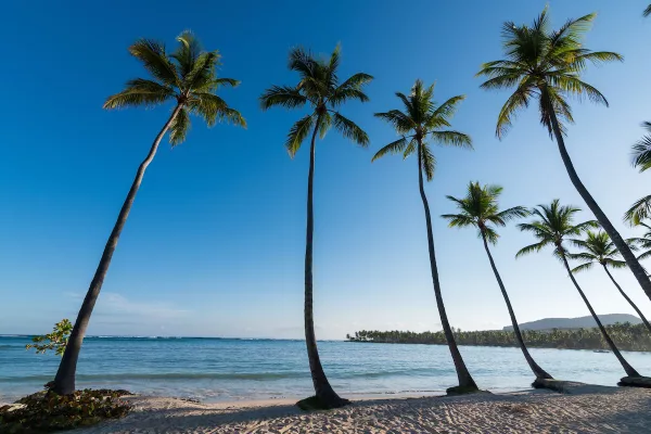 Grand Paradise Samana8