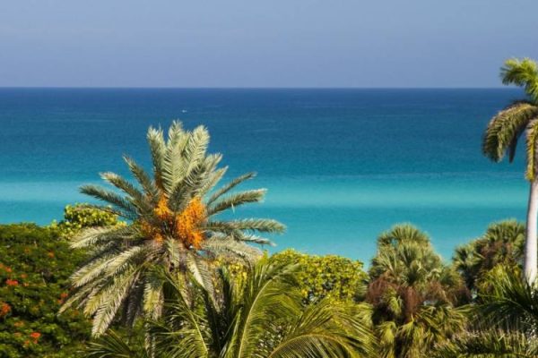 Occidental Arenas Blancas6