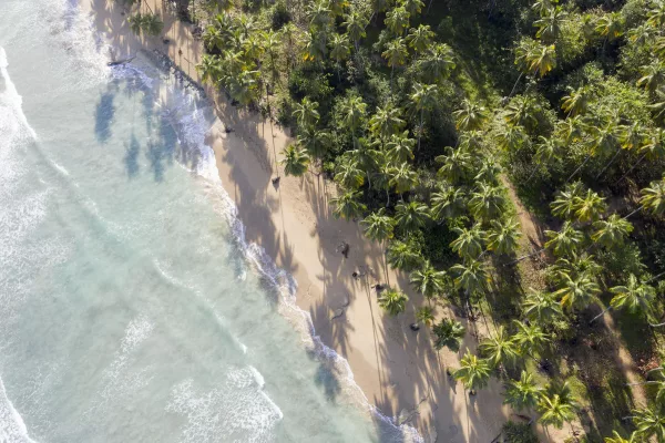 Saman Boutique Hotel16 Saman Boutique Hotel16