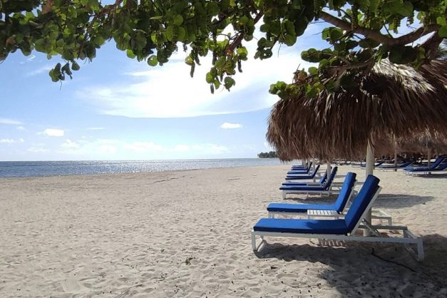 Serenade Punta Cana5
