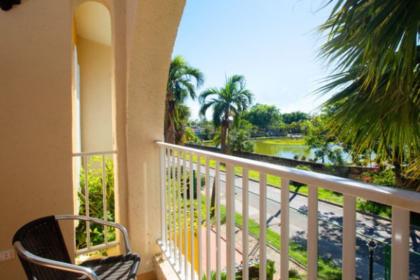 Starfish Las Palmas1