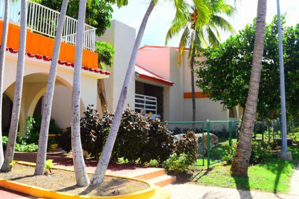 Starfish Las Palmas12