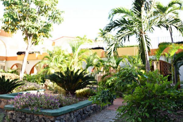 Starfish Las Palmas14