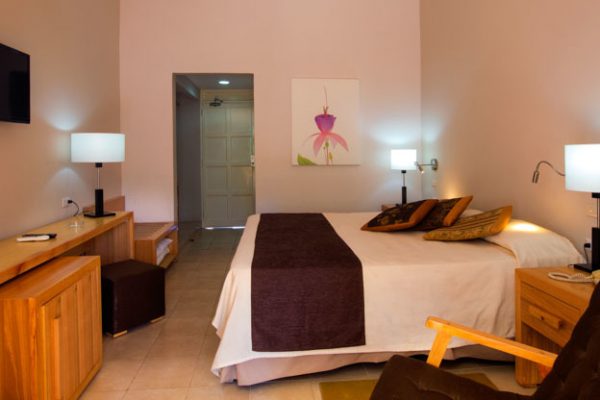 Starfish Las Palmas2