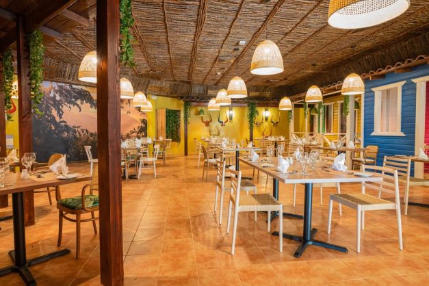 Tropical Deluxe Princess23