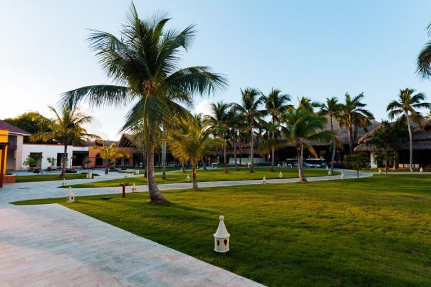 Tropical Deluxe Princess6