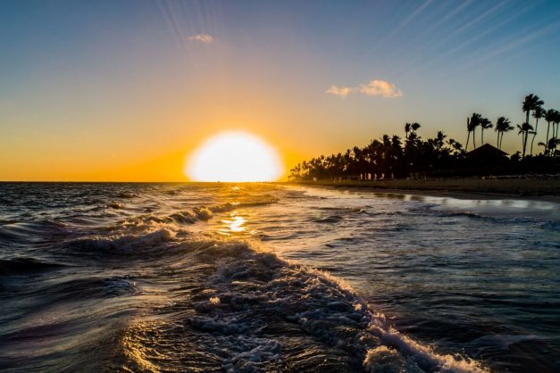 Tropical Deluxe Princess74