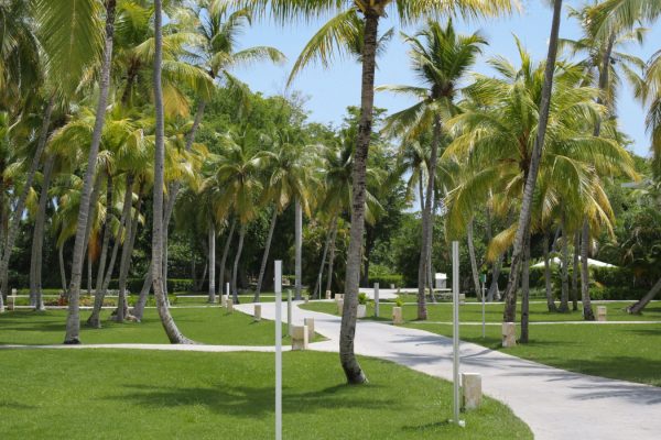 Hotel Punta Cana todo incluido
