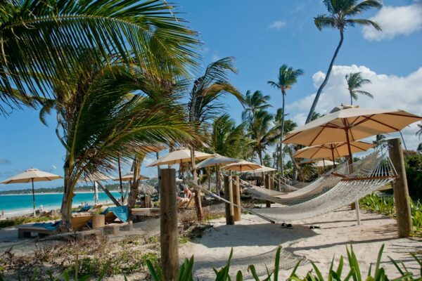 hotel en punta cana